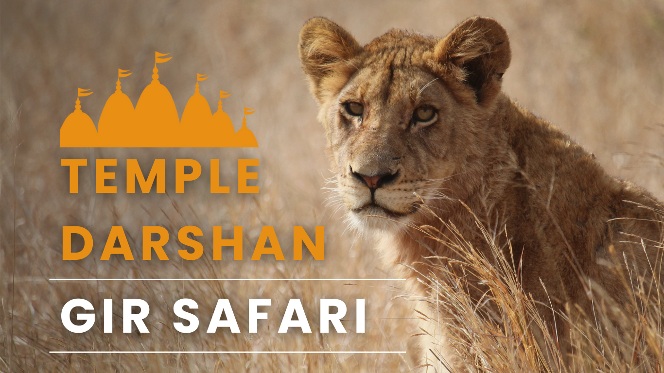 Temple Darshan With Gir Safari